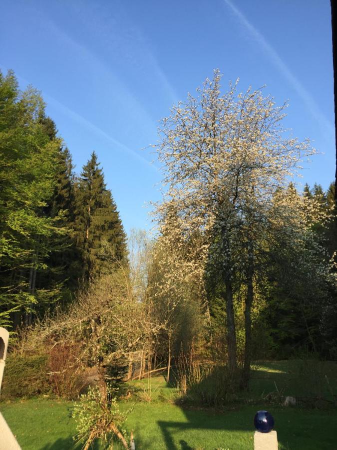 Das Alte Forsthaus Spiegelhuette Lindberg Exteriér fotografie
